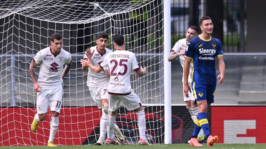 Verona - Torino